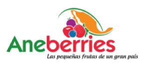 ANEBERRIES
